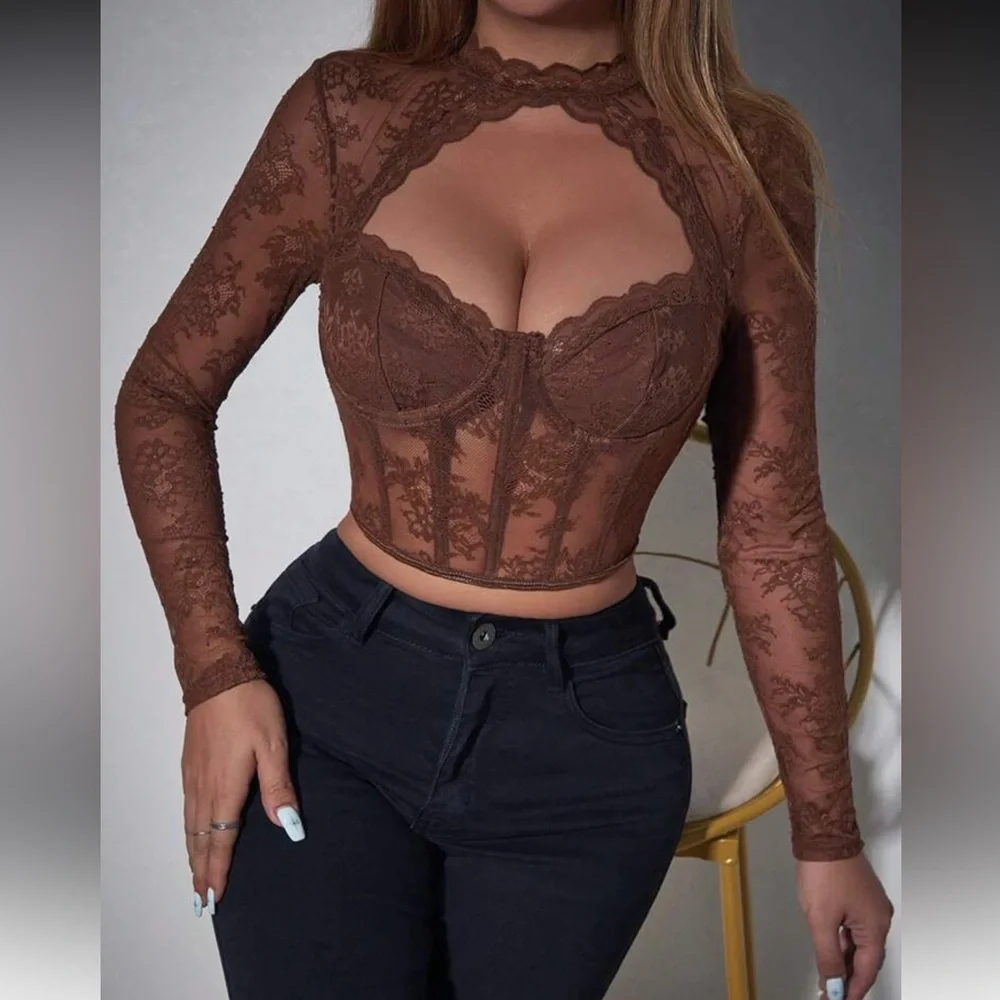 Elegant Brown  Lace Long Sleeve Top